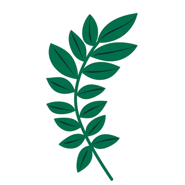 leaf flat design on white background isolated