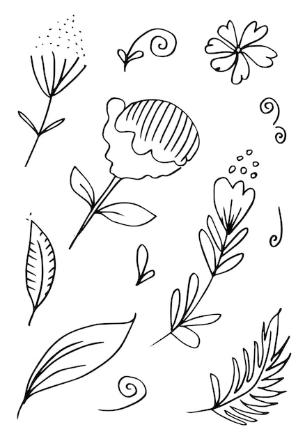 葉と花の花飾りテンプレート白 backgroundVector 手描きのボタニカル イラスト