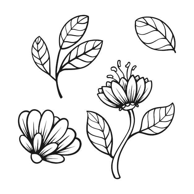 Vector leaf flower set element design