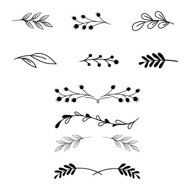 Vector leaf and flowers black with white background