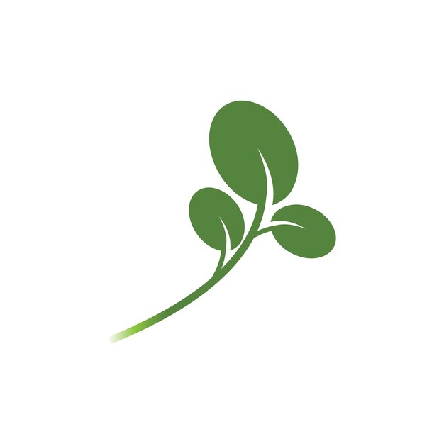 Vector leaf green logo and symbol vector