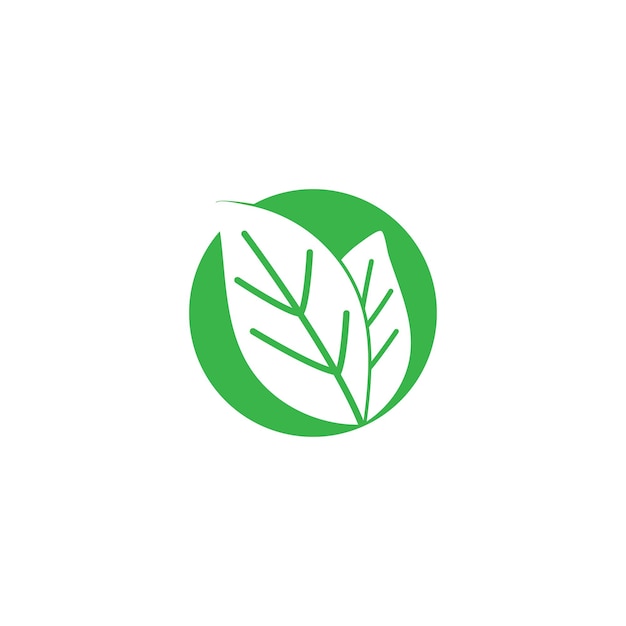 Leaf green logo and symbol vector