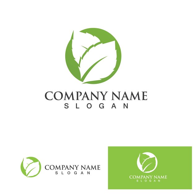 Leaf green logo and symbol vector