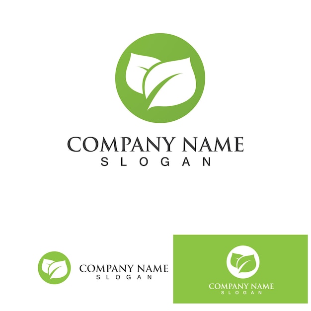 Leaf green logo and symbol vector