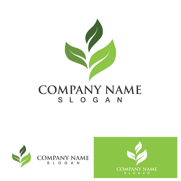 Leaf green logo and symbol vector