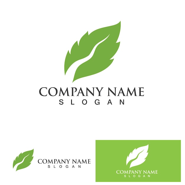 Leaf green logo and symbol vector