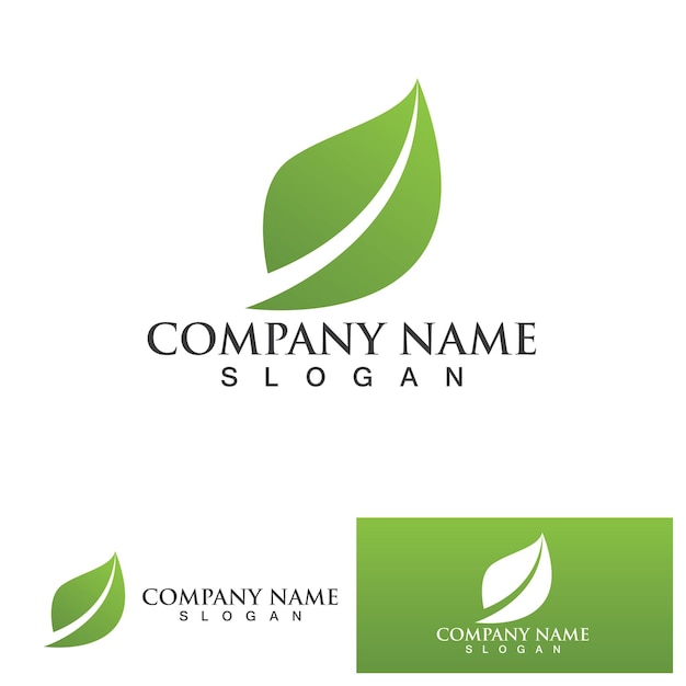 Leaf green logo and symbol vector