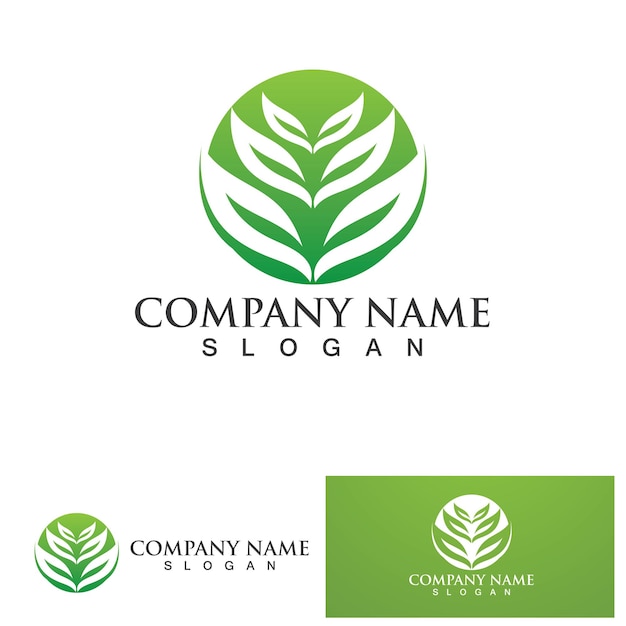 Leaf green logo and symbol vector