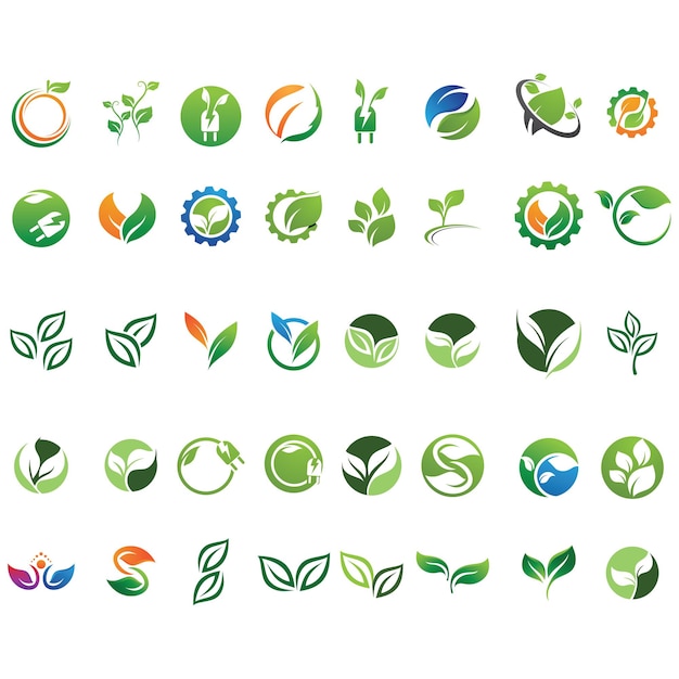 Vector leaf green logo and symbol vector