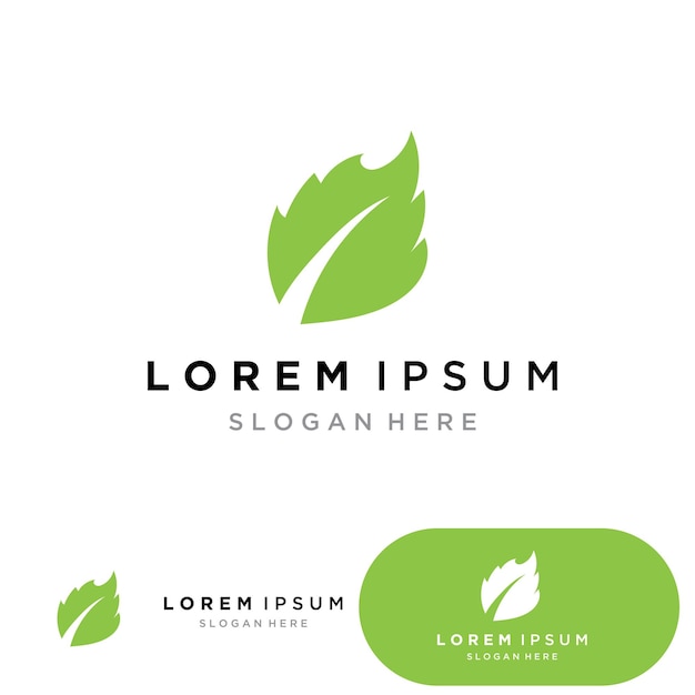 Leaf green logo and symbol vector