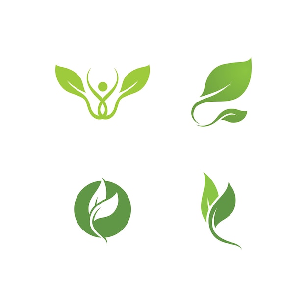 Leaf green plant logo fresh vector template