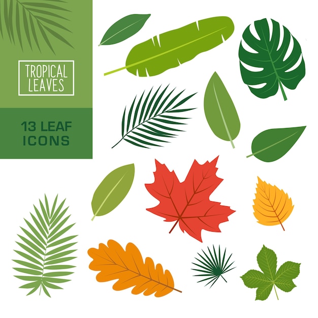 Vector leaf icon leaf icon set flat style