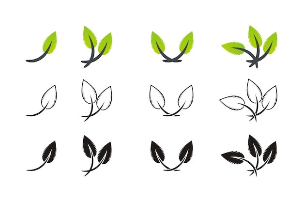 leaf  icon set