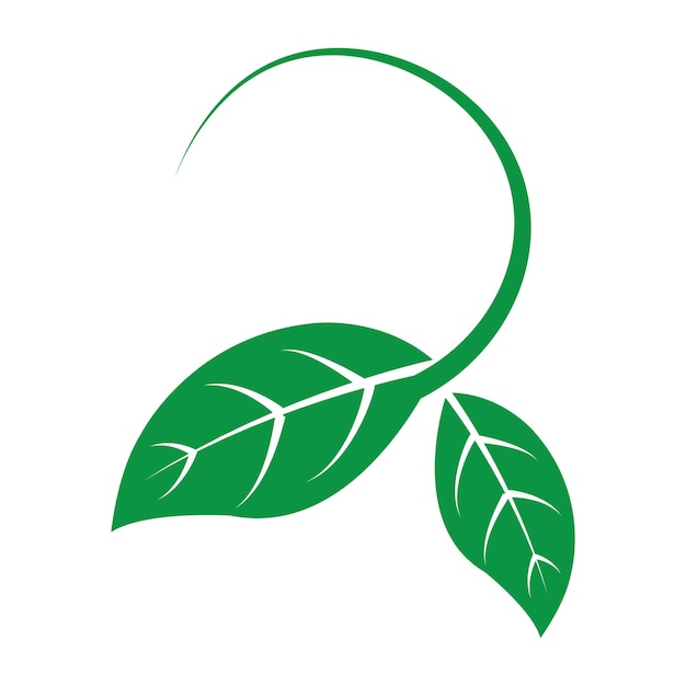 Leaf icon vector illustration design