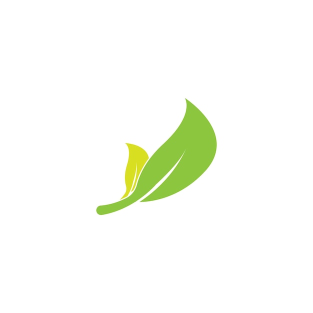 Leaf icon