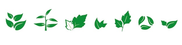 잎 아이콘 설정 생태 자연 요소 녹색 잎 환경 및 자연 에코 기호 흰색 배경 주식 벡터에 잎