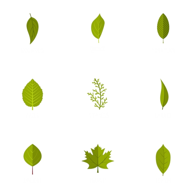 Leaf icons set, flat style