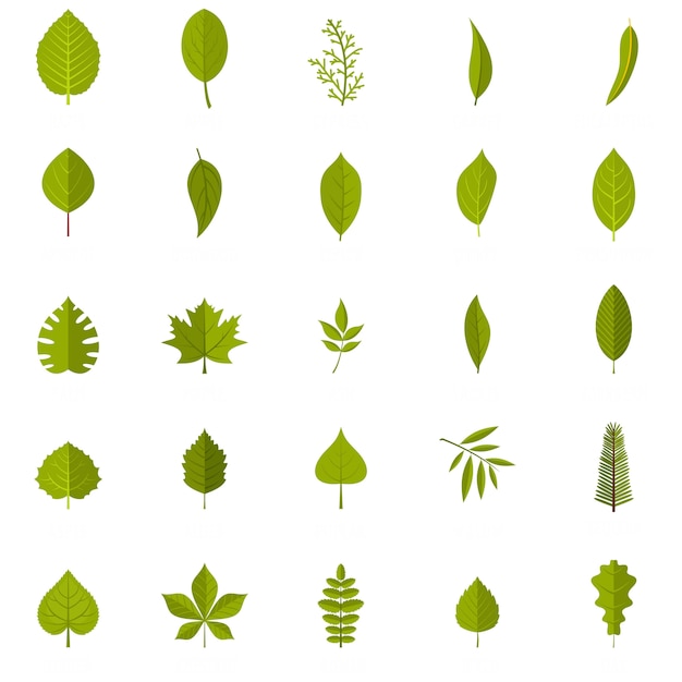 Leaf icons set