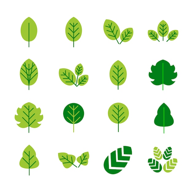 Leaf icons