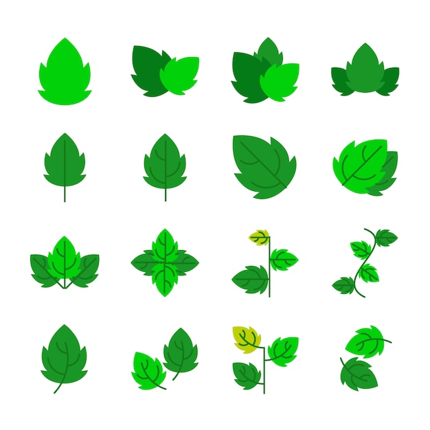 Vector leaf icons