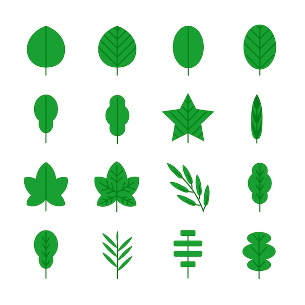 leaf icons 