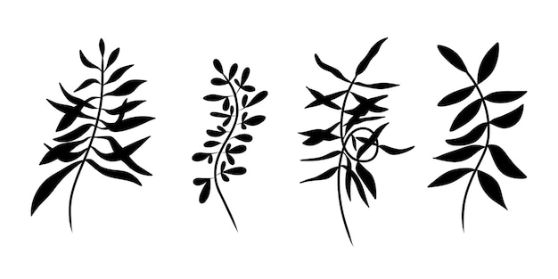 Leaf. leaves silhouette. minimalistic abstract boho outlines branch leaf. flower and plant. element