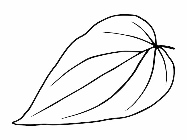Линейная иллюстрация листьев