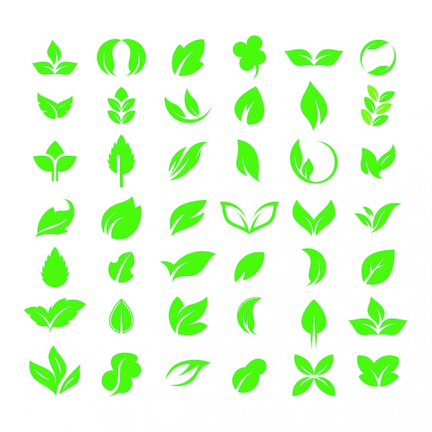 Vector leaf logo collection