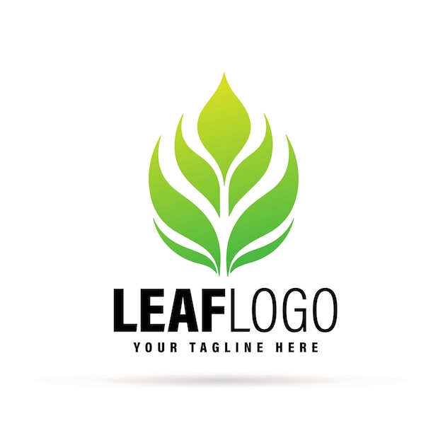 Leaf Logo Design Minimal Modern Leaf Logo Design