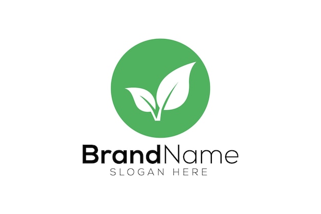 Leaf logo design template