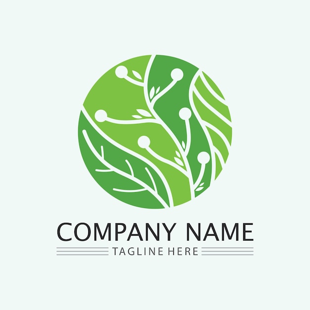 Leaf logo design vector for nature symbol template editablegreen leaf logo ecology nature element vector icon