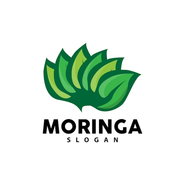 Leaf logo eco green plant vector green earth care recycling design illustrazione del modello dell'icona del logo della foglia di moringa