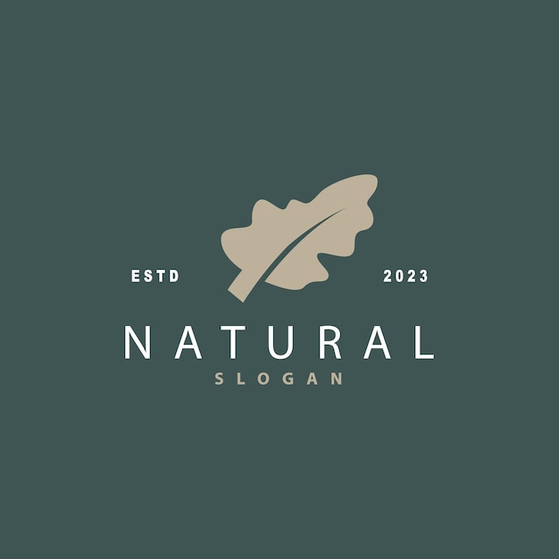 Leaf Logo Eikenblad Logo Ontwerp Minimalistische Natuurlijke Plant Boom Vector Illustratie Sjabloon