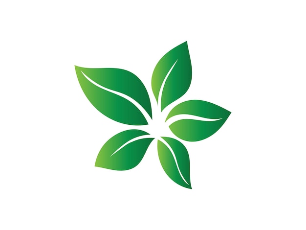Leaf logo gradient colorful design leaf logo vector