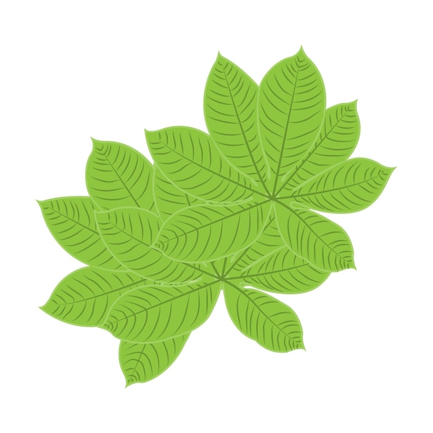 Vettore foglia logo verde pianta design foglie di alberi prodotto marchio modello illustrazione