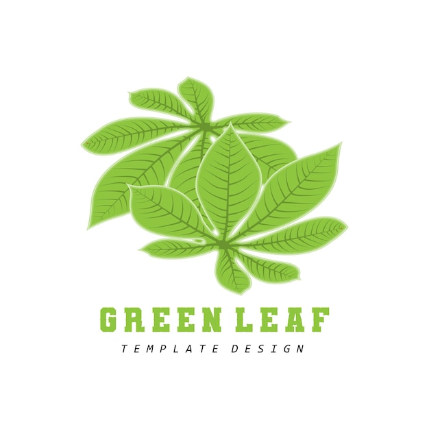 Leaf Logo Green Plant Design Leaves Of Trees Product Brand Template Illustration