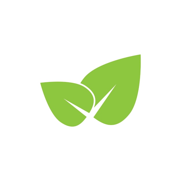 Leaf logo icon vector design template