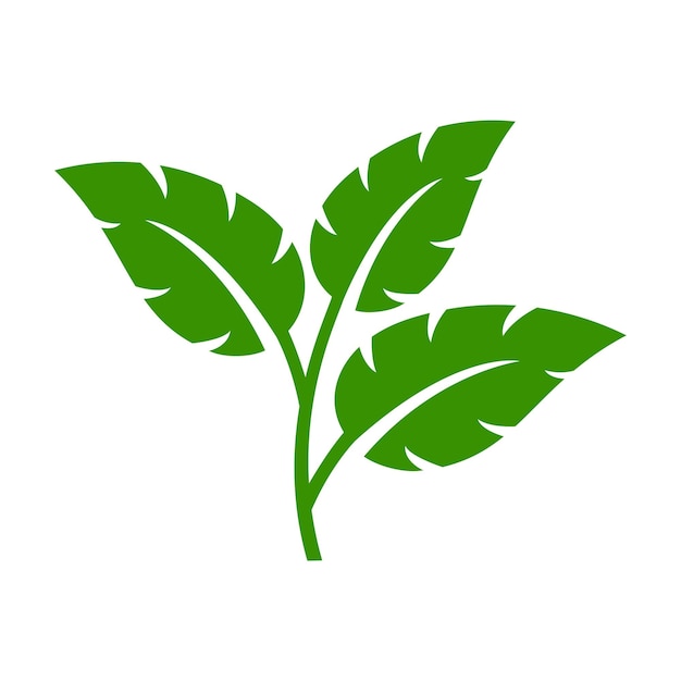 Modello del logo della foglia icona della foglia verde