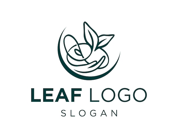 A leaf logo that is green