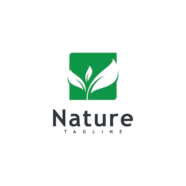 Leaf logo vector nature symbol template design