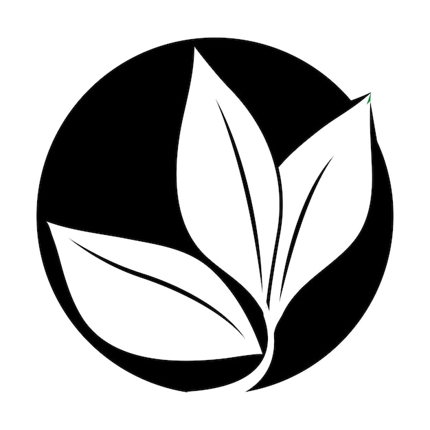 leaf logo vector