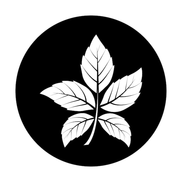 leaf logo vector