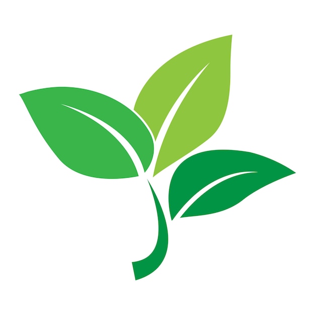 leaf logo vector