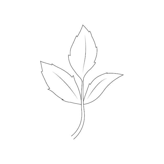 leaf logo vector