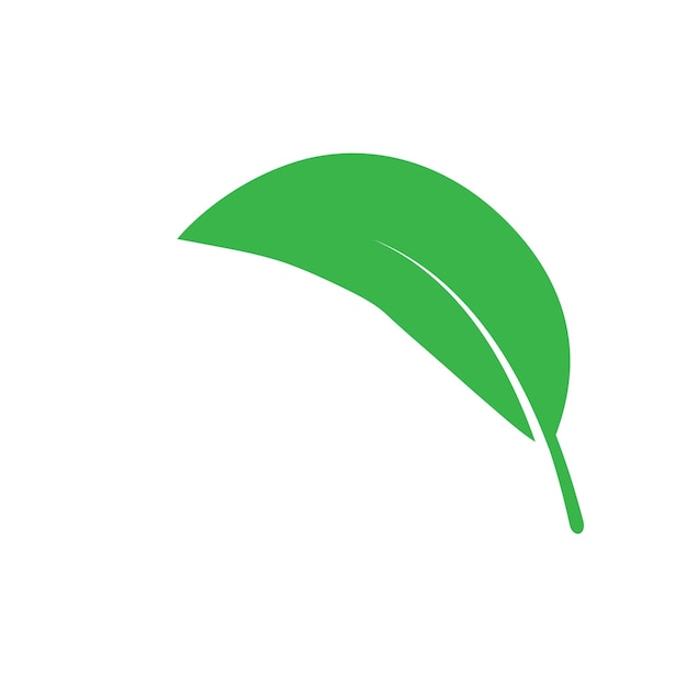 Vector leaf logo