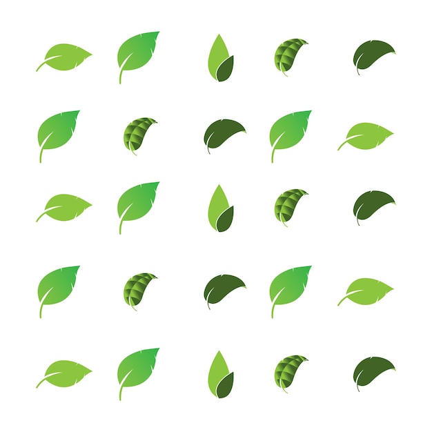 Leaf logo