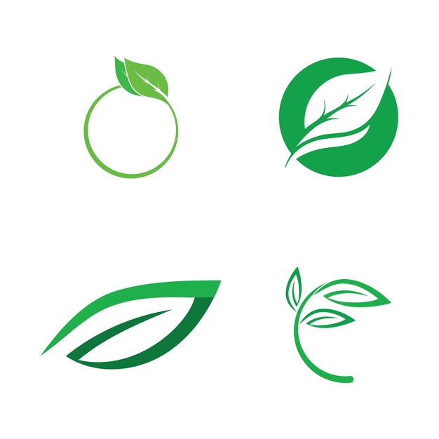 Leaf nature ecology icon vector illustration template design