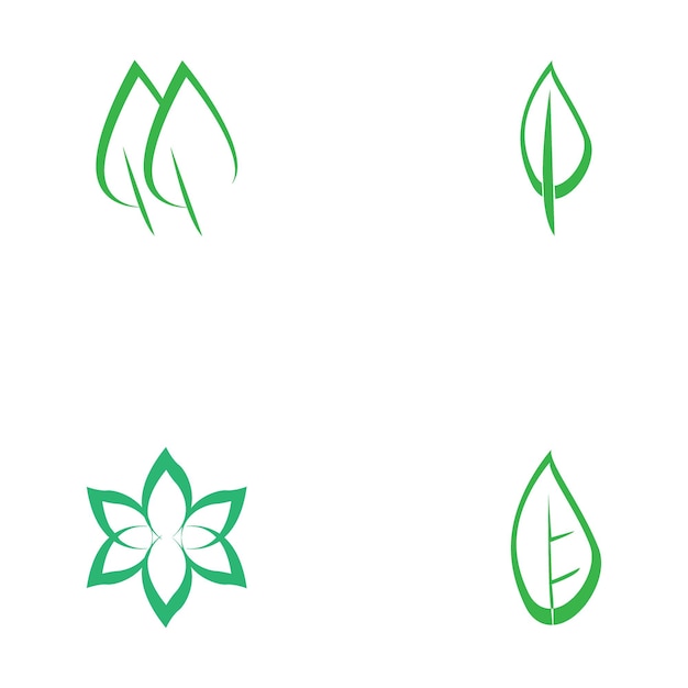 Leaf nature icon vector illustration template design