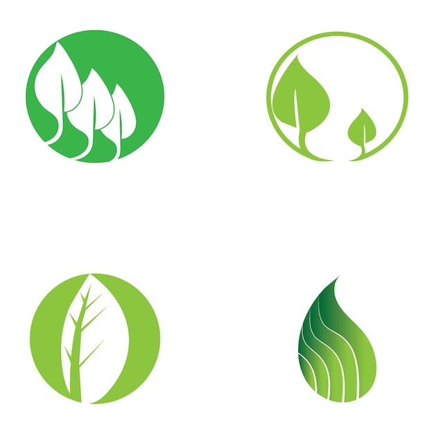 Leaf nature icon vector illustration template design