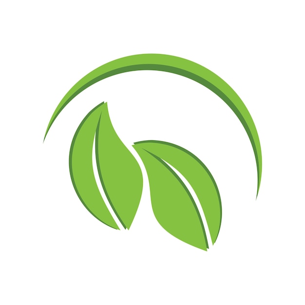 Vector leaf nature logo